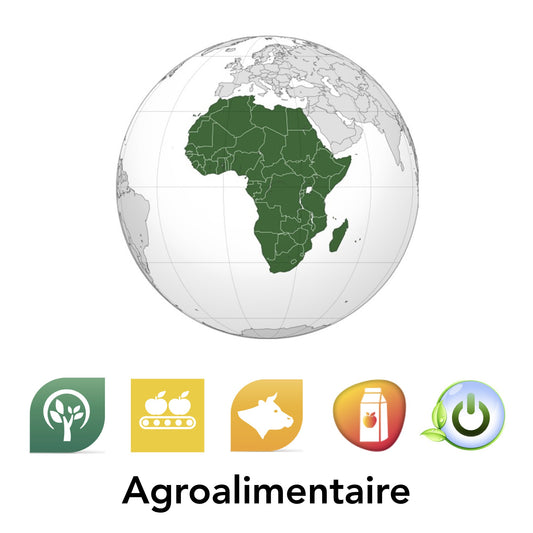 Chambre froide solaire 20m3